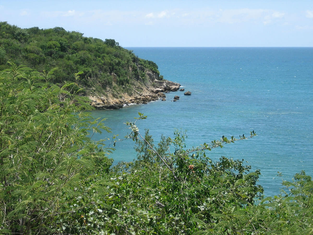 Guánica State Forest & Biosphere Reserve (Puerto Rico) LAC Geo
